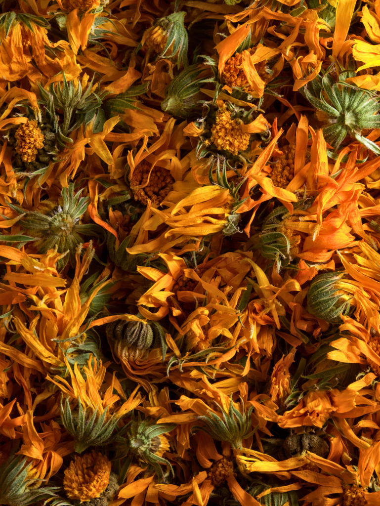 dried Calendula