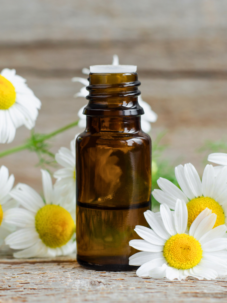 Chamomile essential oil