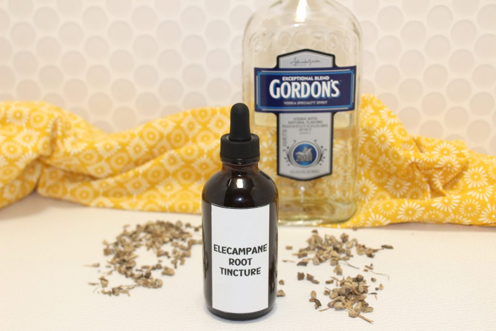 Elecampane Root tincture in a glass bottle