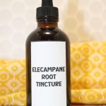 elecampane root tincture