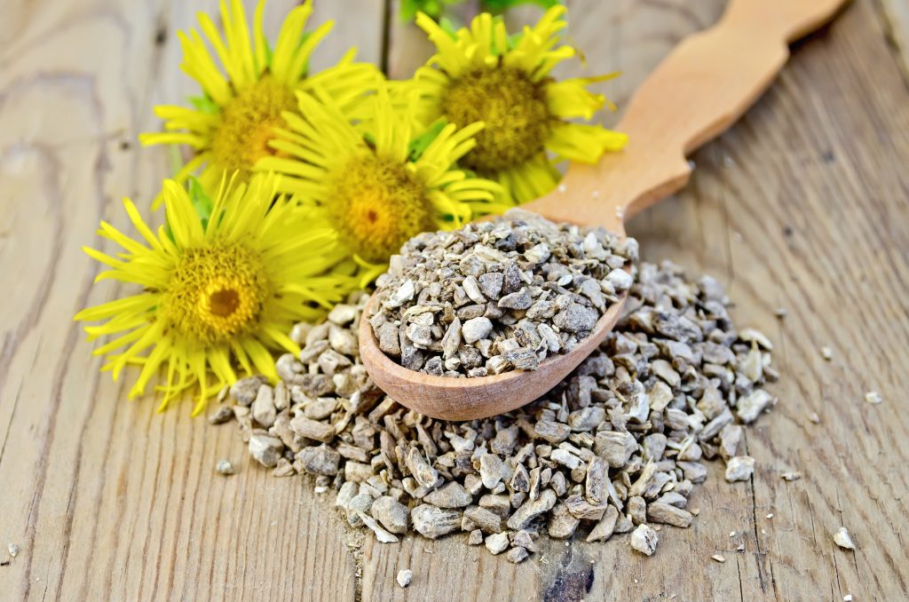 Wooden spoon with elecampane root, fresh yellow flowers elecampane against a wooden board