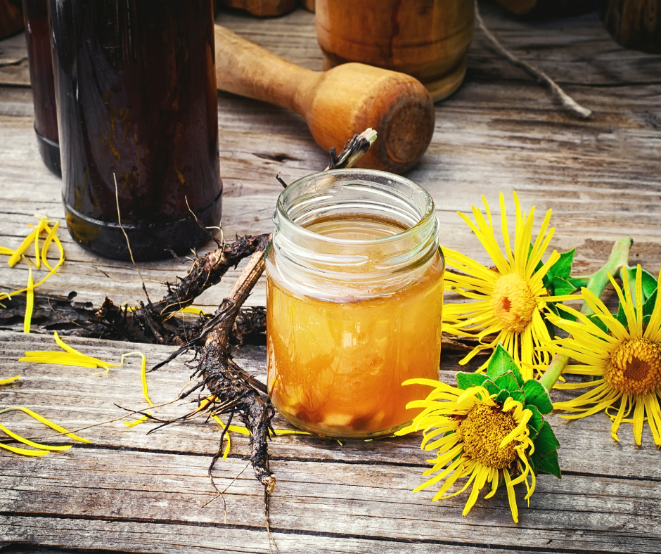 Honey Elecampane Syrup