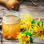 Honey Elecampane Syrup