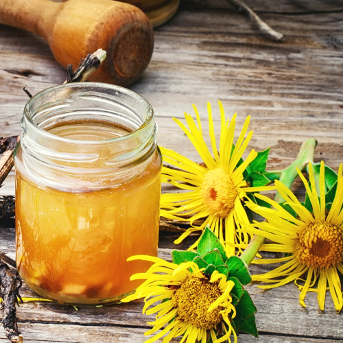 Honey Elecampane Syrup