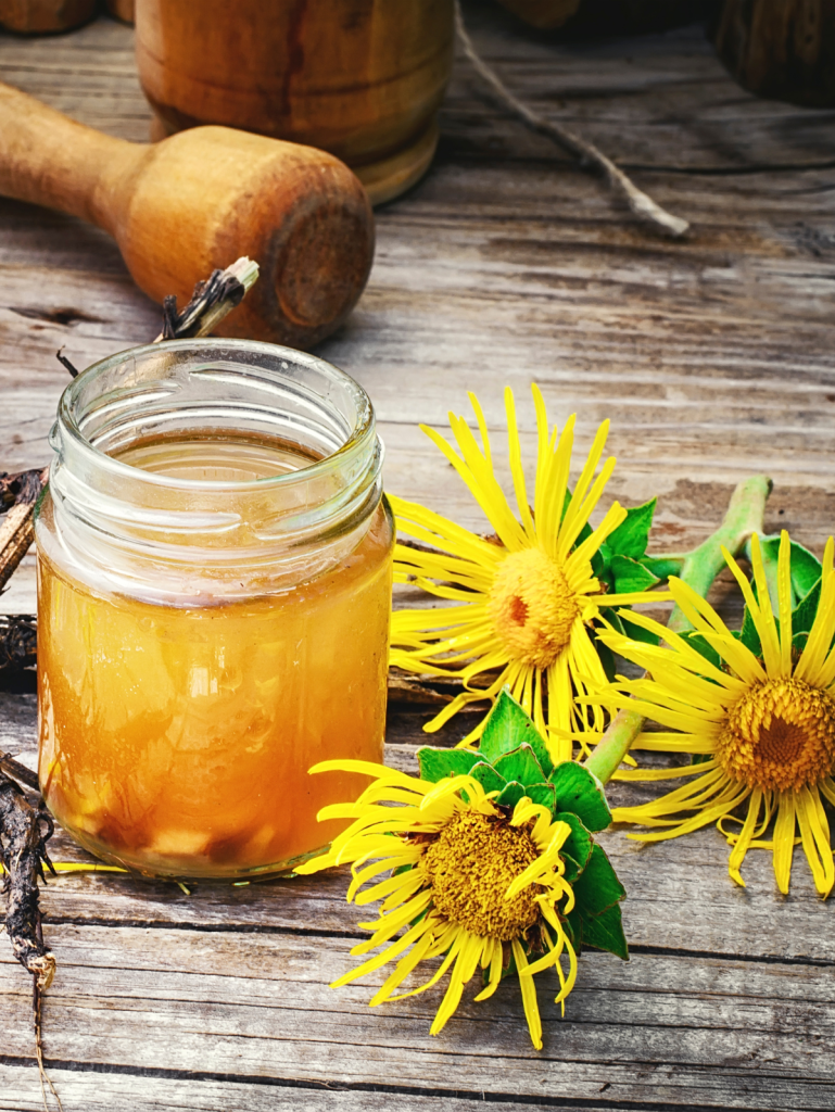 Honey Elecampane Syrup