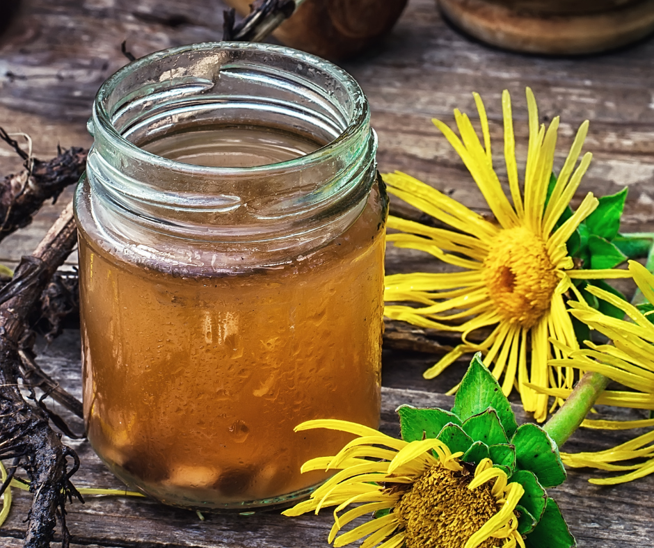 Honey Elecampane Syrup