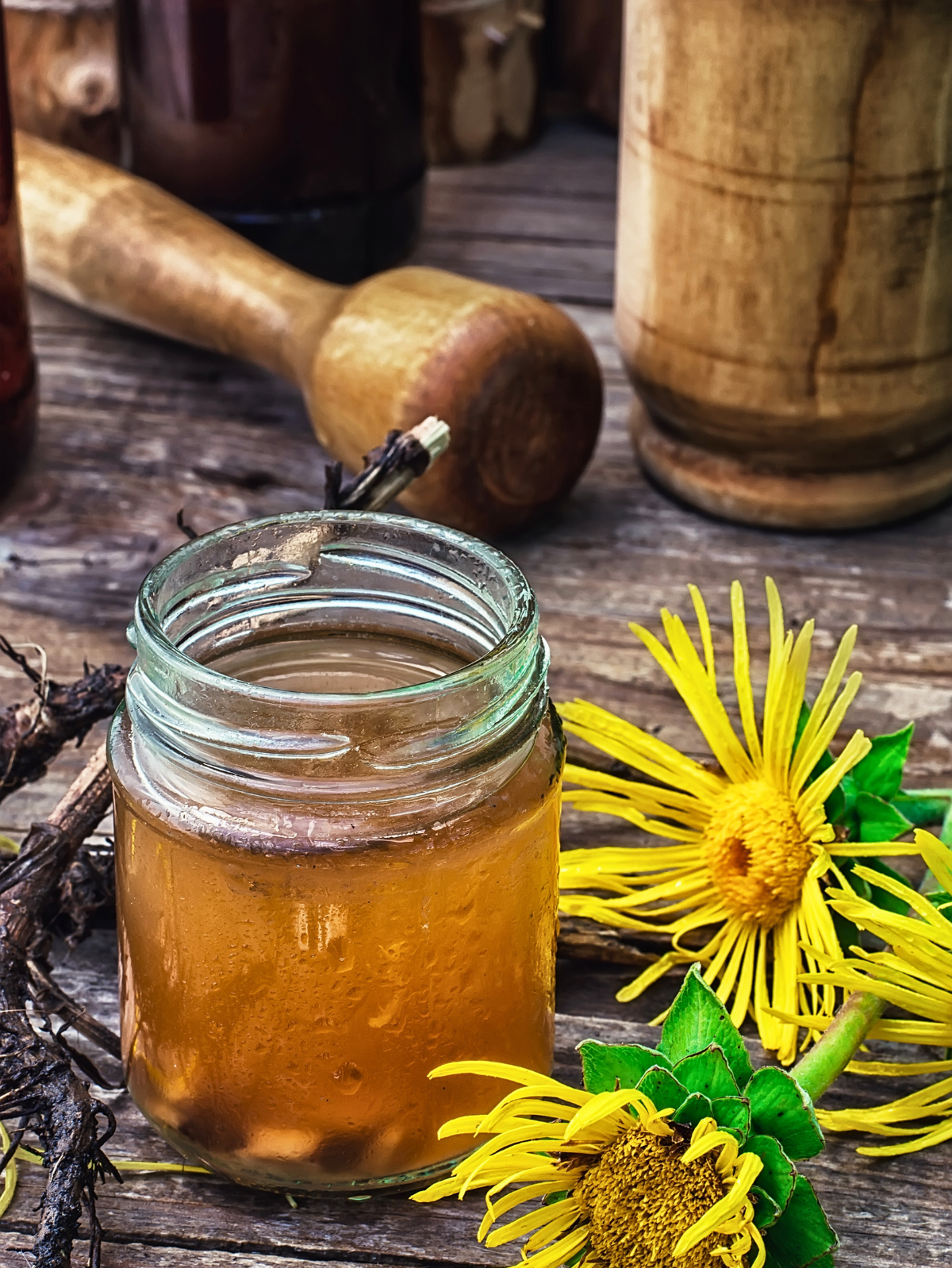 Honey Elecampane Syrup