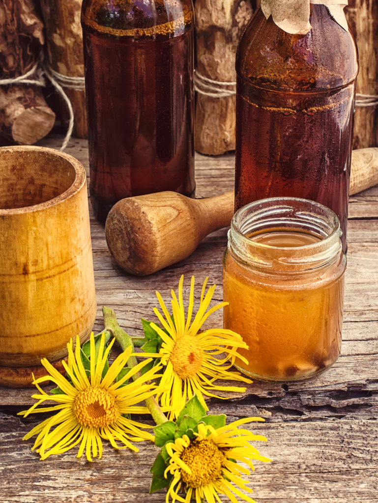 Honey Elecampane Syrup