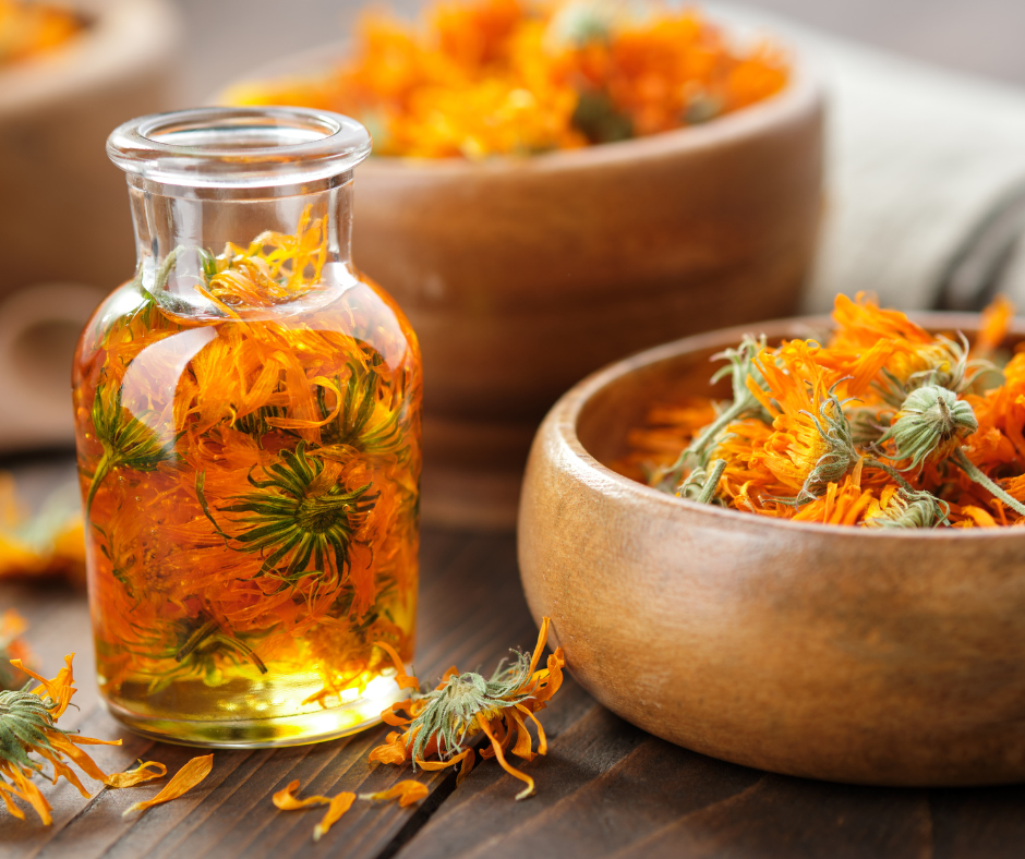 calendula flowers in oil