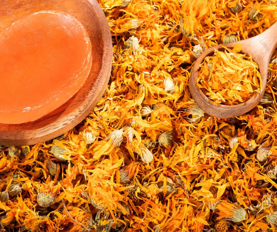 dried calendula flowers