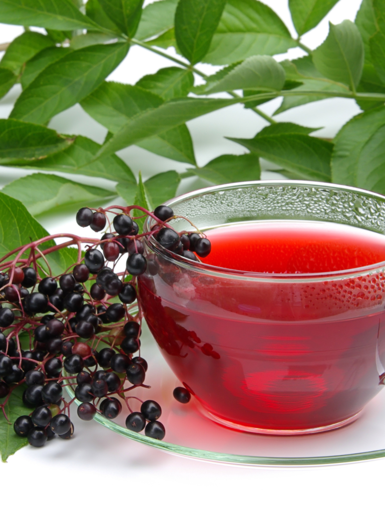 elderberry tea