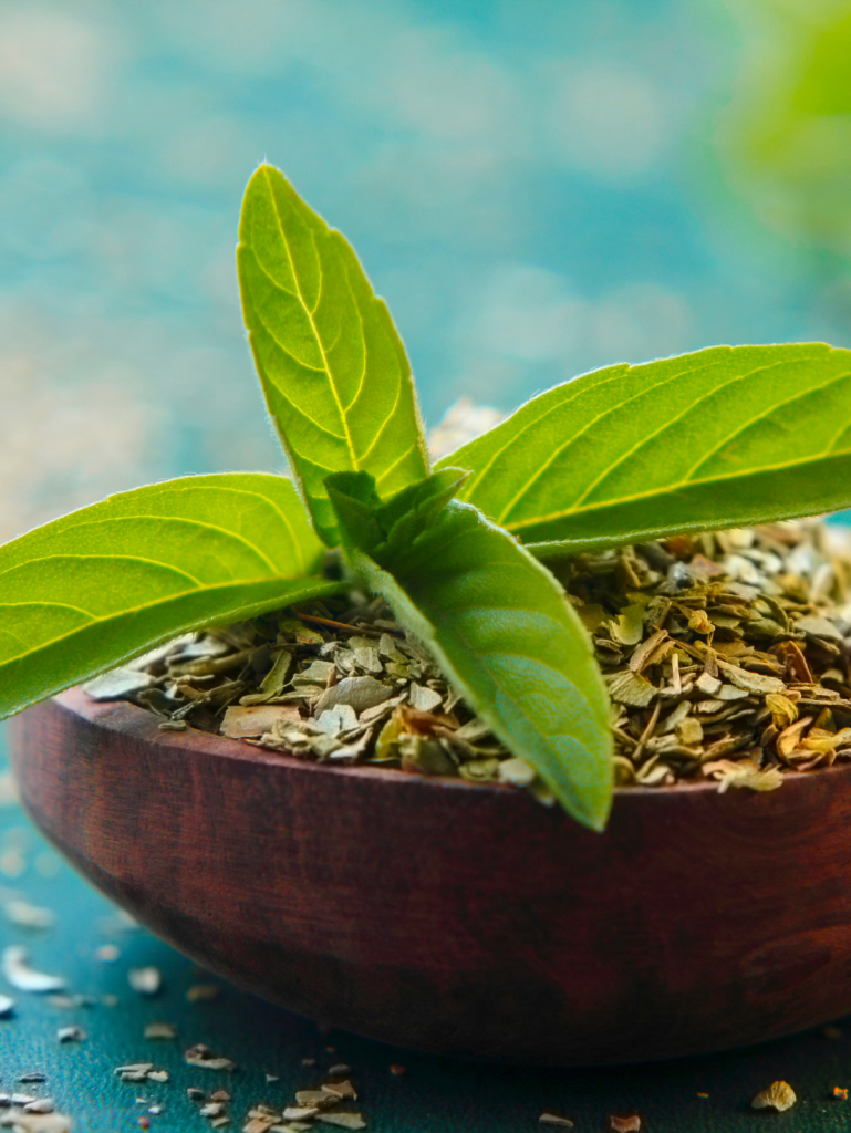 holy basil tulsi in a bowl