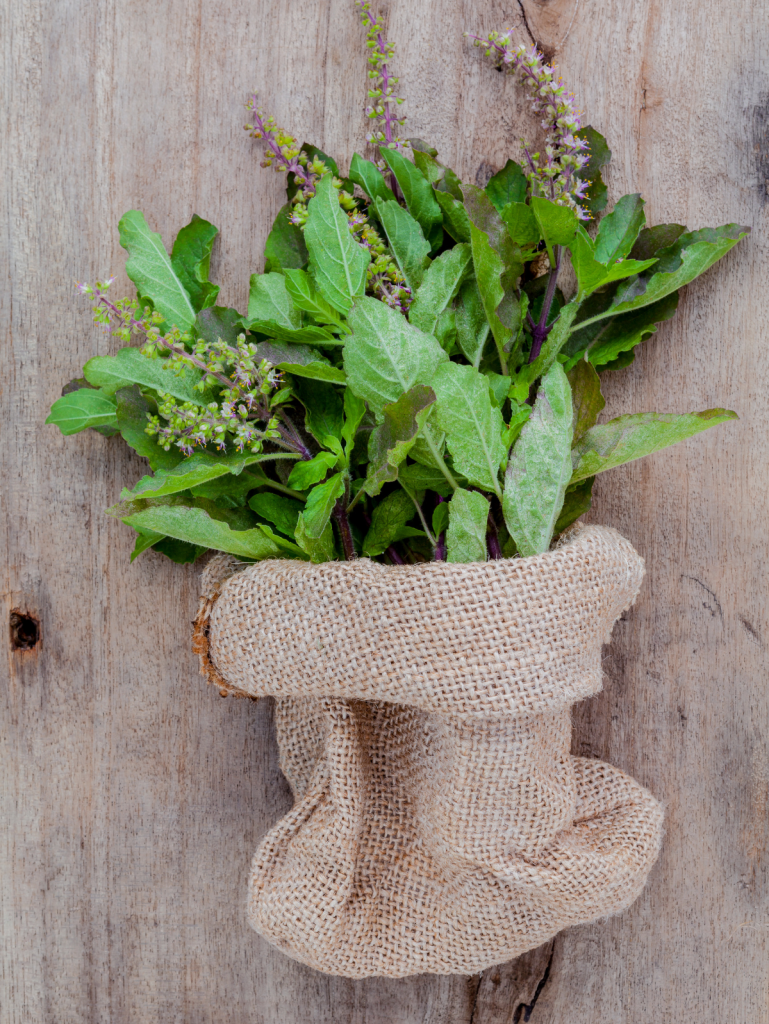 tulsi holy basil in a bag