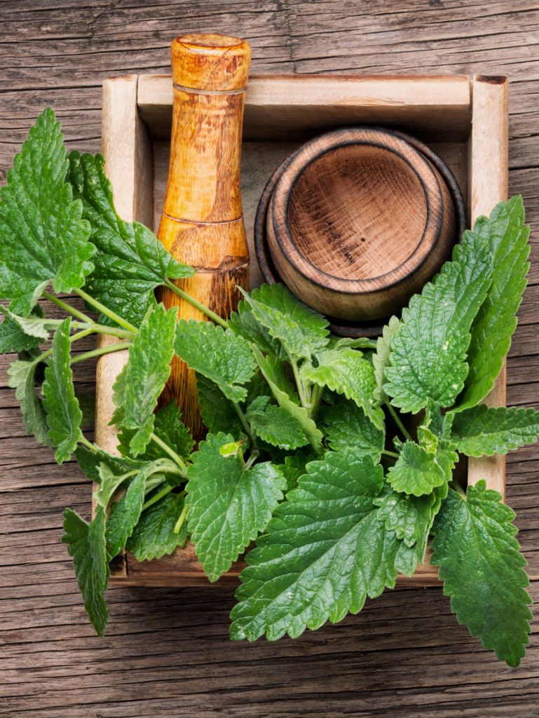 lemon balm on a wooden tray